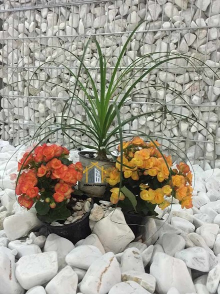   سبد های گابیونی