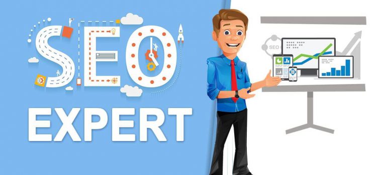 استخدام سئوکار حرفه ای